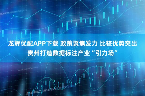 龙辉优配APP下载 政策聚焦发力 比较优势突出贵州打造数据标注产业“引力场”