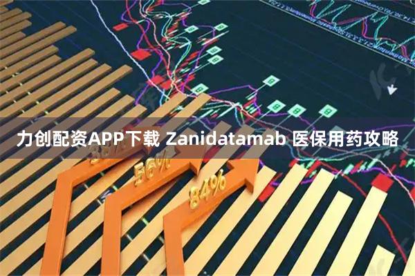力创配资APP下载 Zanidatamab 医保用药攻略